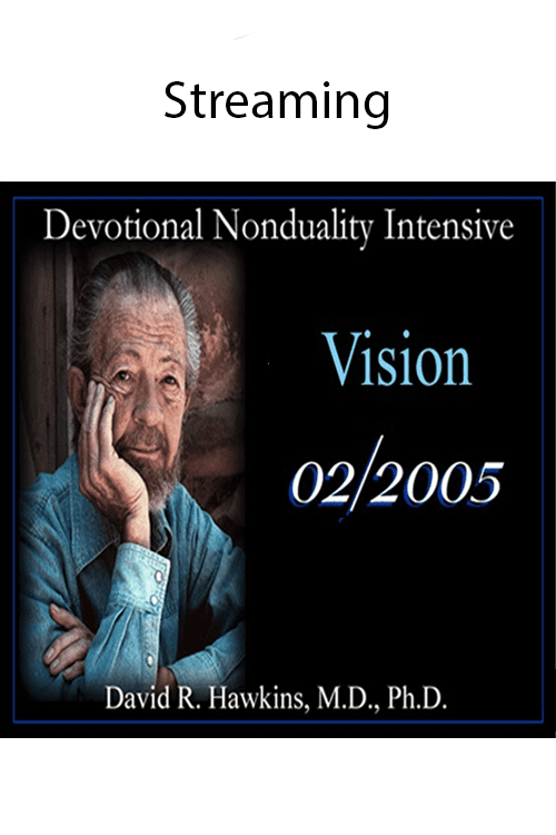 Vision (Feb 2005)